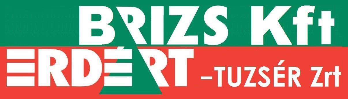 Brizs Kft