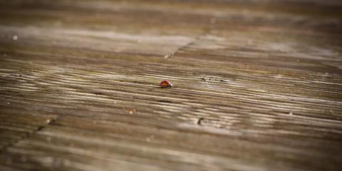 BRIZS Kft teraszburkolatok